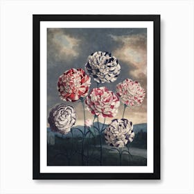 Vintage Thornton 6 Carnations Art Print