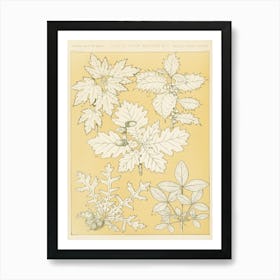 Vintage Pattern Illustration, Owen Jones                                      Art Print