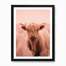 Blush Pink Portrait Of Young Highland Cow Art Print