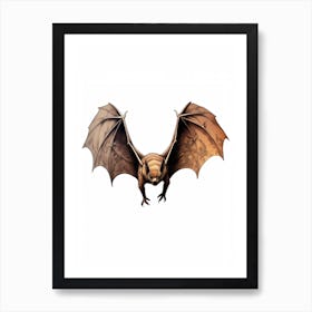 Big Brown Bat Vintage Illustration 1 Art Print