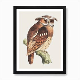 Owl On A Branch (Bubo Lettii), Theo Van Hoytema Art Print