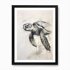 Charcoal Sketch Of A Sea Turtle Art Print