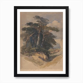 Pines On Hampstead Heath, James Heath Art Print