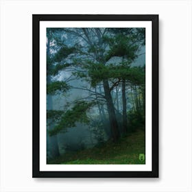 Misty Forest 20191019 20pub Art Print