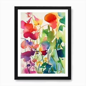 Sweet Pea Flower Illustration 4 Art Print