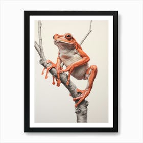 Red Tree Frog Realistic 1 Art Print