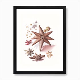 Star Anise Spices And Herbs Pencil Illustration 1 Art Print