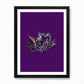 Vintage Dwarf Crested Iris Black and White Gold Leaf Floral Art on Deep Violet Art Print