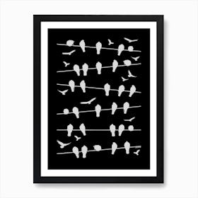 Birds on lines - White Art Print