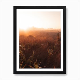 Grass In The Morning Ii Art Print