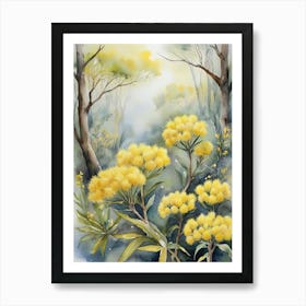 Australia Golden Wattle Flowers In The Forest Art Print