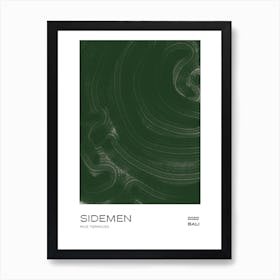 Rice Terrace Bali Sidemen Art Print