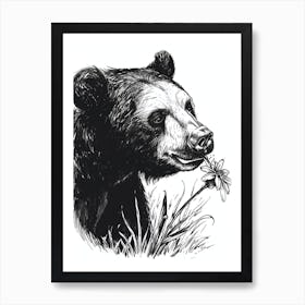 Malayan Sun Bear Sniffing A Flower Ink Illustration 2 Art Print