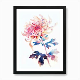 Chrysanthemum 4 Art Print