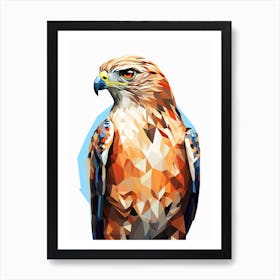 Colourful Geometric Bird Red Tailed Hawk 2 Art Print