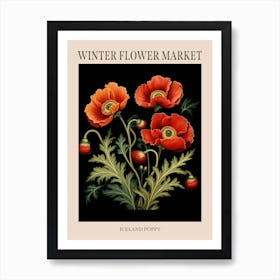 Iceland Poppy 1 Winter Flower Market Poster Art Print
