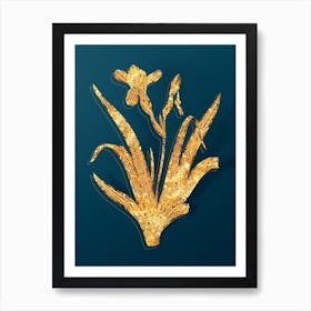 Vintage Hungarian Iris Botanical in Gold on Teal Blue n.0048 Art Print