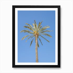 Palm Tree Against Blue Sky Art Print