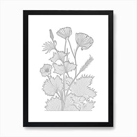 Maca Herb William Morris Inspired Line Drawing 1 Art Print