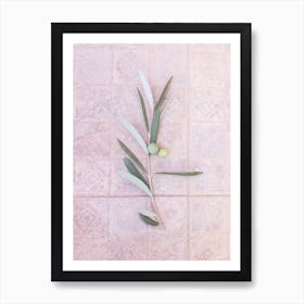 Olive Branch Art Print