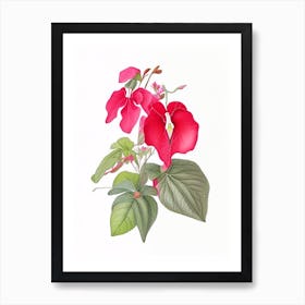 Impatiens Floral Quentin Blake Inspired Illustration 2 Flower Art Print