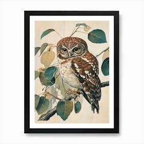 Northern Pygmy Owl Vintage Illustration 1 Art Print