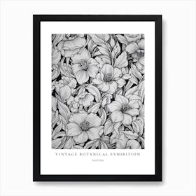 Daffodil B&W Vintage Botanical Poster Art Print