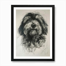 Polish Lowland Sheepdog Charcoal Line 1 Art Print