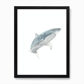 Shark Póster