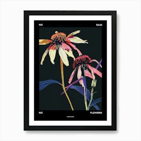 No Rain No Flowers Poster Coneflower 3 Art Print