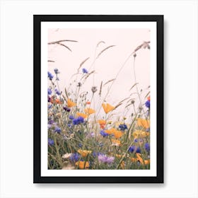 Wild Poppies 2 Art Print