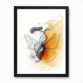 Metamorphosis Of Butterfly Affiche