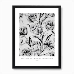 Tulip 2 B&W Vintage Botanical Poster Art Print