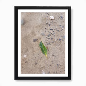 Leaf In The Sand Art Print