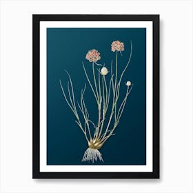 Vintage Allium Globosum Botanical Art on Teal Blue n.0503 Art Print