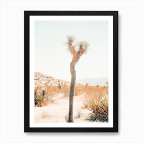 Small Joshua Tree Art Print