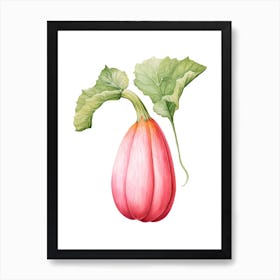 Pink Banana Pumpkin Watercolour Illustration 2 Art Print