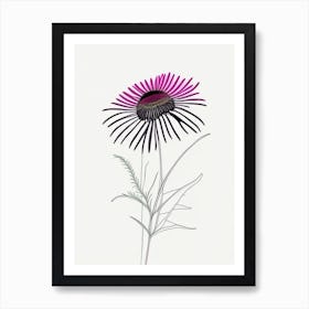 Echinacea Floral Minimal Line Drawing 2 Flower Art Print