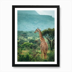 Giraffe In The Savannah 2 Art Print