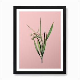 Vintage White Baboon Root Botanical on Soft Pink n.0199 Art Print