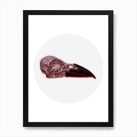 Crow Skull Red Art Print