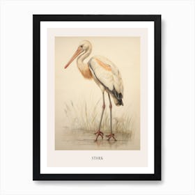 Vintage Bird Drawing Stork 3 Poster Art Print