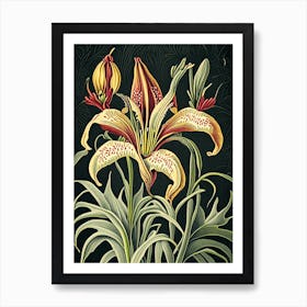 Inca Lily 3 Floral Botanical Vintage Poster Flower Art Print
