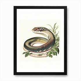 Anaconda Snake 1 Vintage Art Print