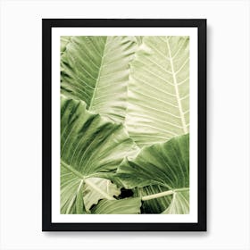 Jungle Fever  Art Print