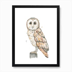 Barnowl Art Print