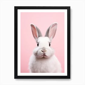 Rabbit On Pink Background Art Print