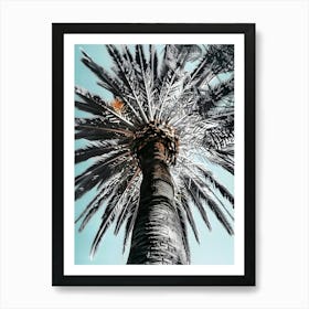 Palm Tree 9 Art Print