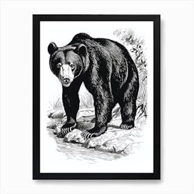 Malayan Sun Bear Standing On A Riverbank Ink Illustration 3 Art Print
