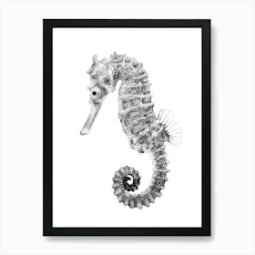 Dotwork Seahorse Illustration Art Print